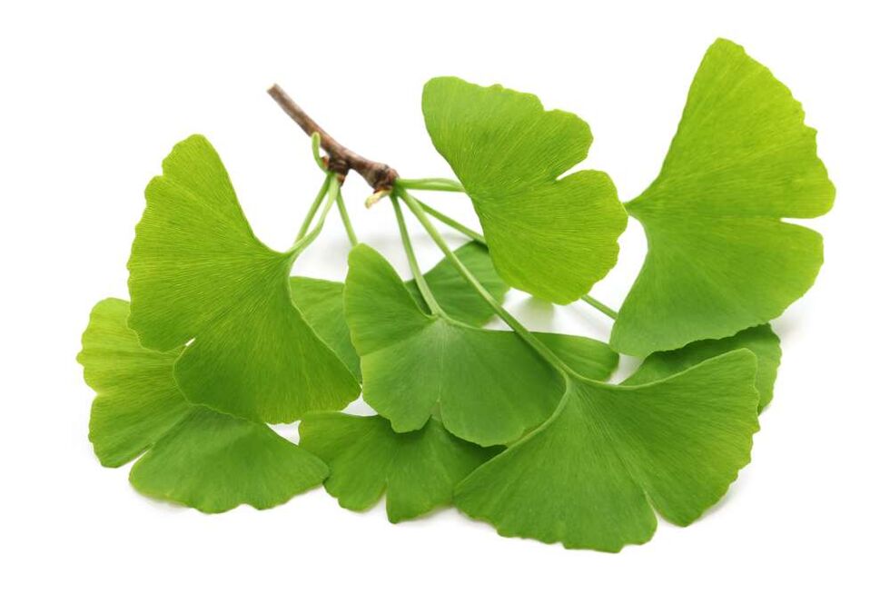 gingko biloba kapszulában Glucoren